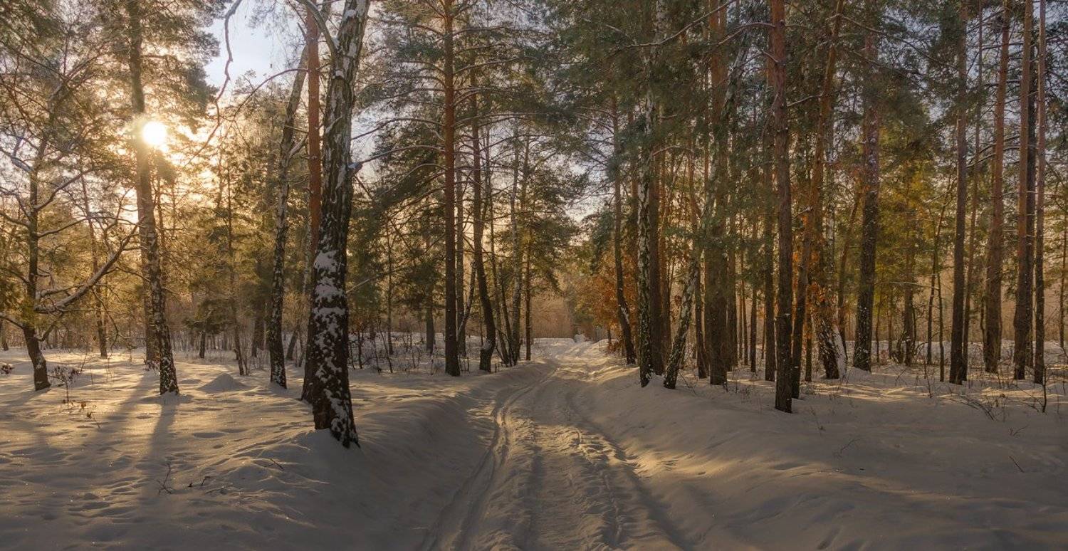 , Галанзовская Оксана