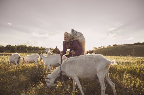 Воспоминание детства