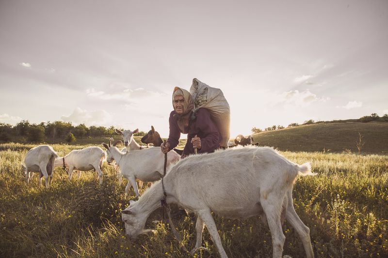 бабушка,природа,небо,трава,портрет,жанр, Воспоминание детства фото превью