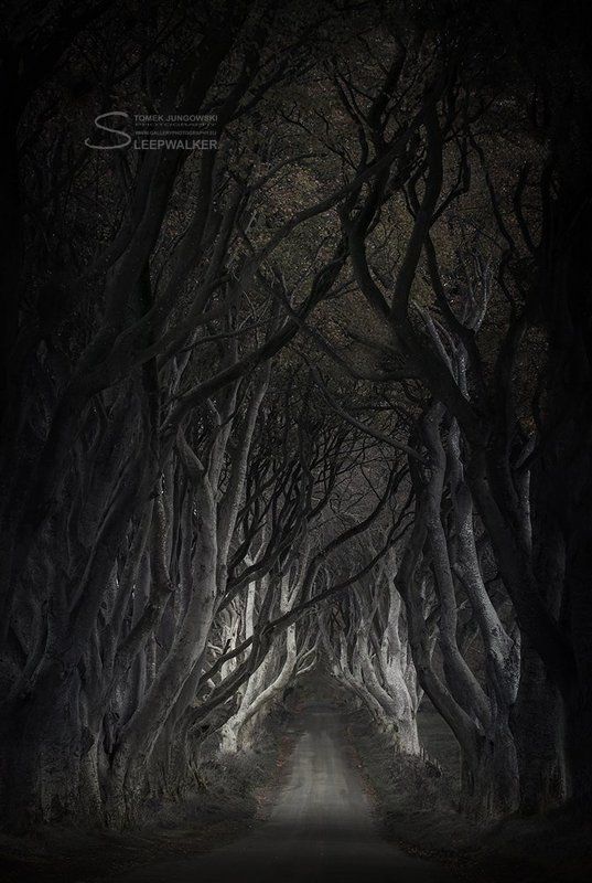 landscape, Lasciate ogni speranza, voi ch\'entrate фото превью