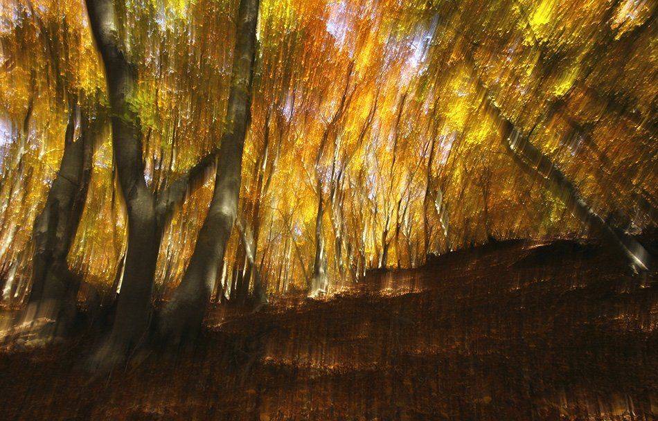 , Иваненко Светлана