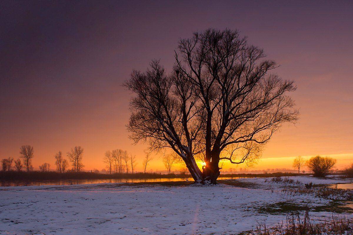 , Pawel Plucinski