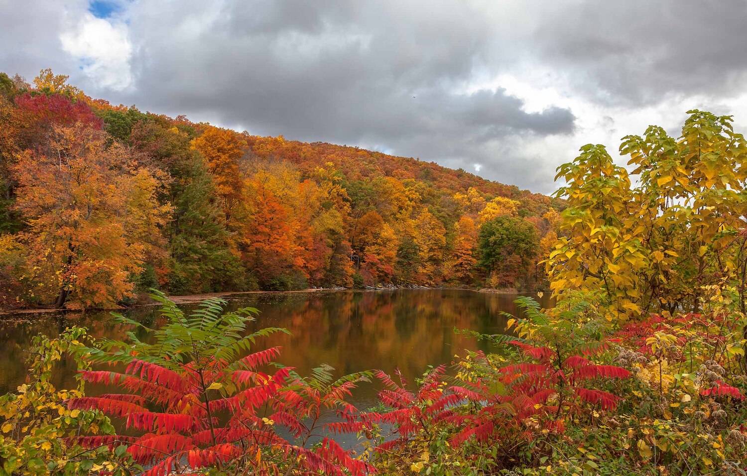 пейзаж,природа,осень,листья,небо, облака,деревьяозеро,красный,, Антонина