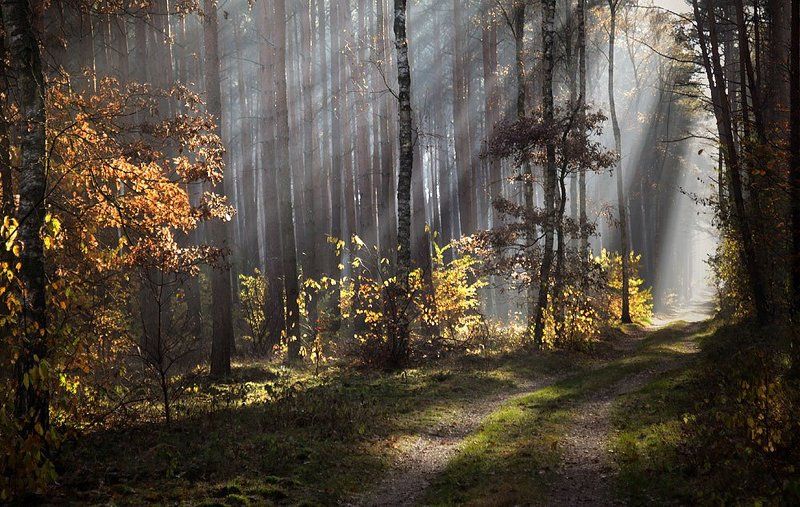 ... фото превью