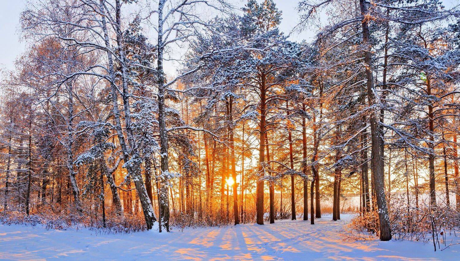 закат, Олег Богданов