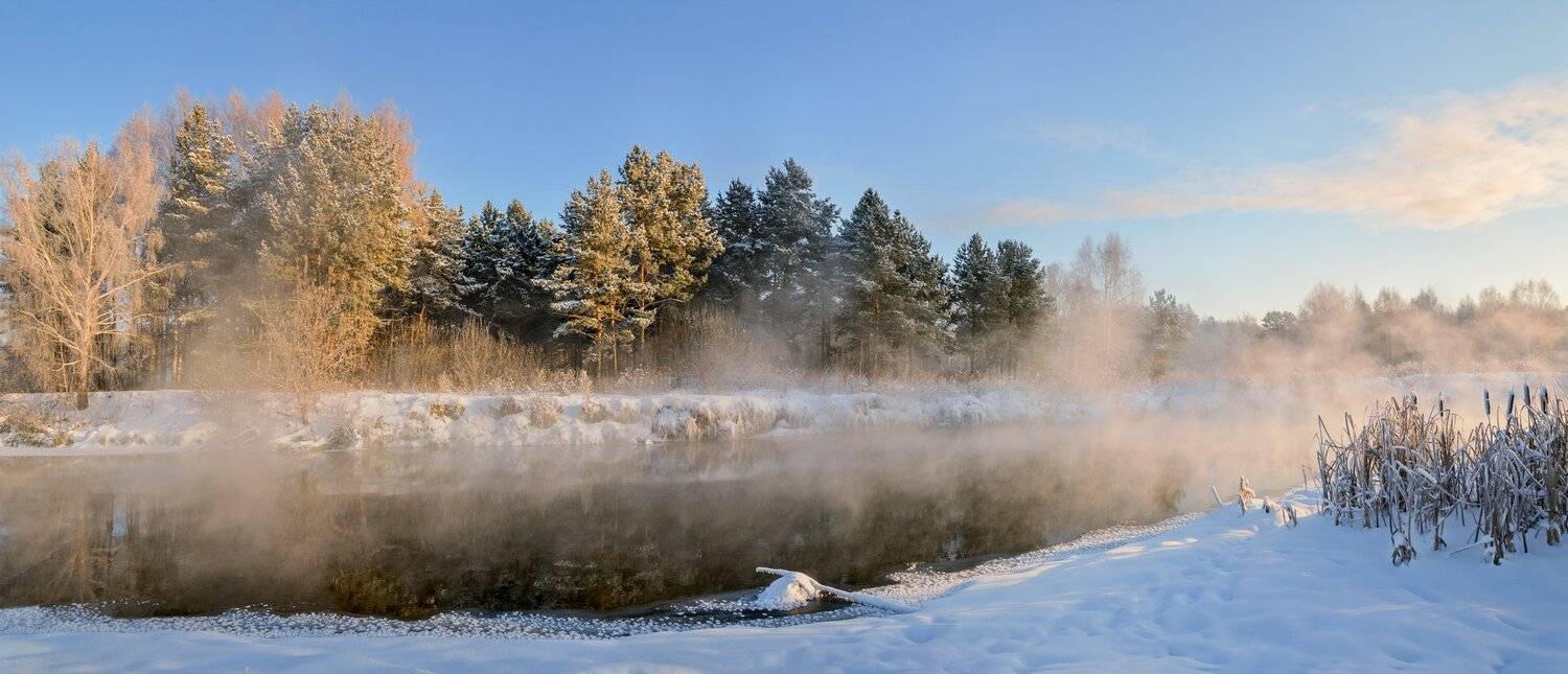 рассвет, Олег Богданов
