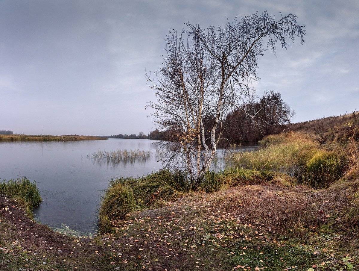 , Влад Шерман