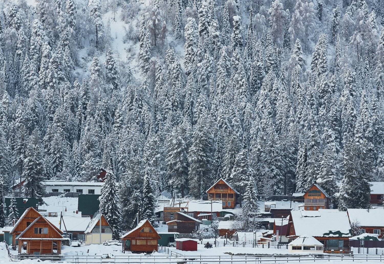 алтай, река, путешествие, Цвелёв Дмитрий