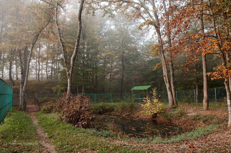 В старом парке заблудилась осень фото превью