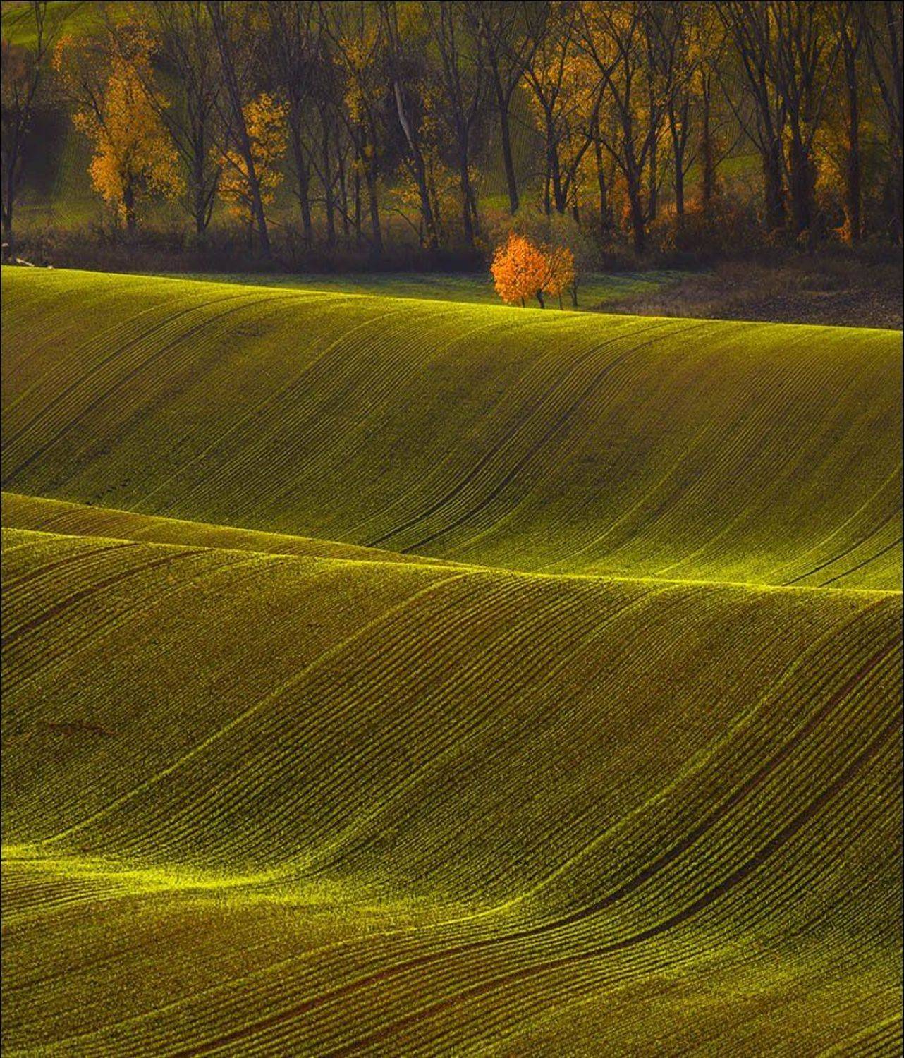 , Владимир K.