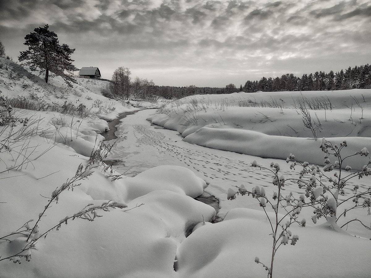 , Владимир Перепечаев