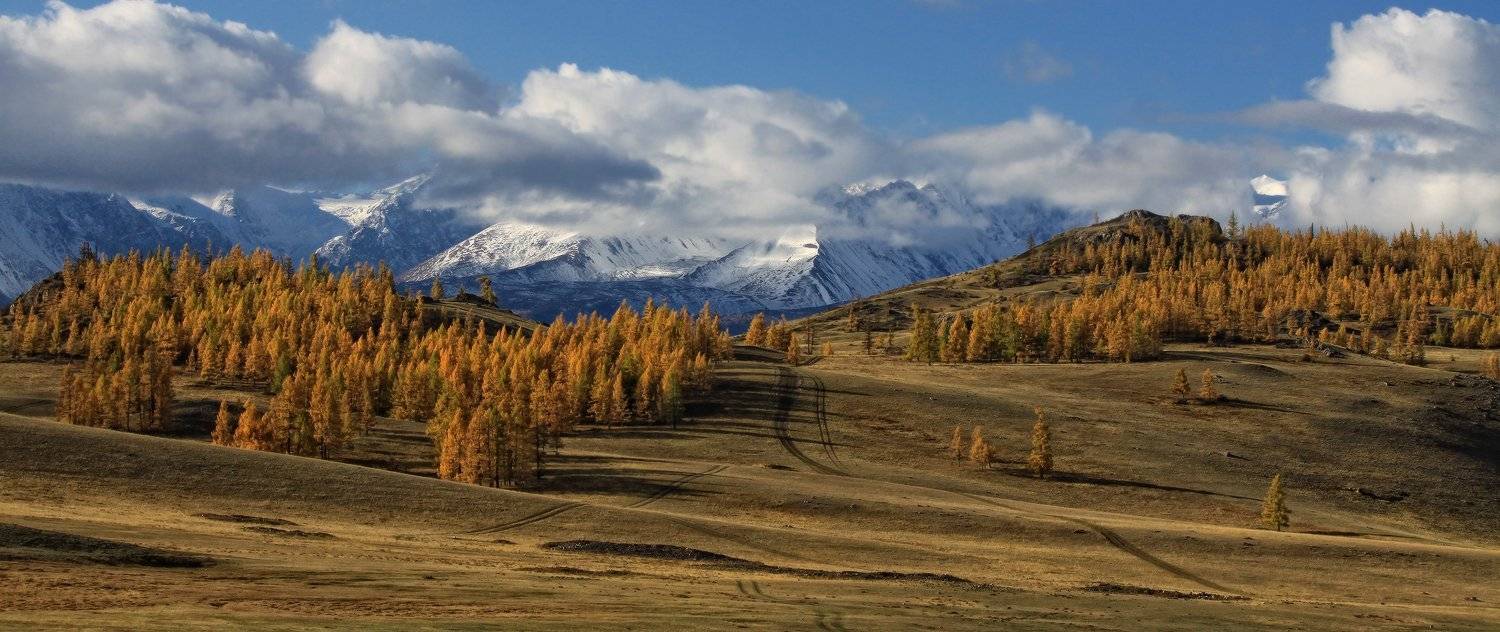 северо-чуйский хребет, горный алтай, осень, курай, горы, Галина Хвостенко