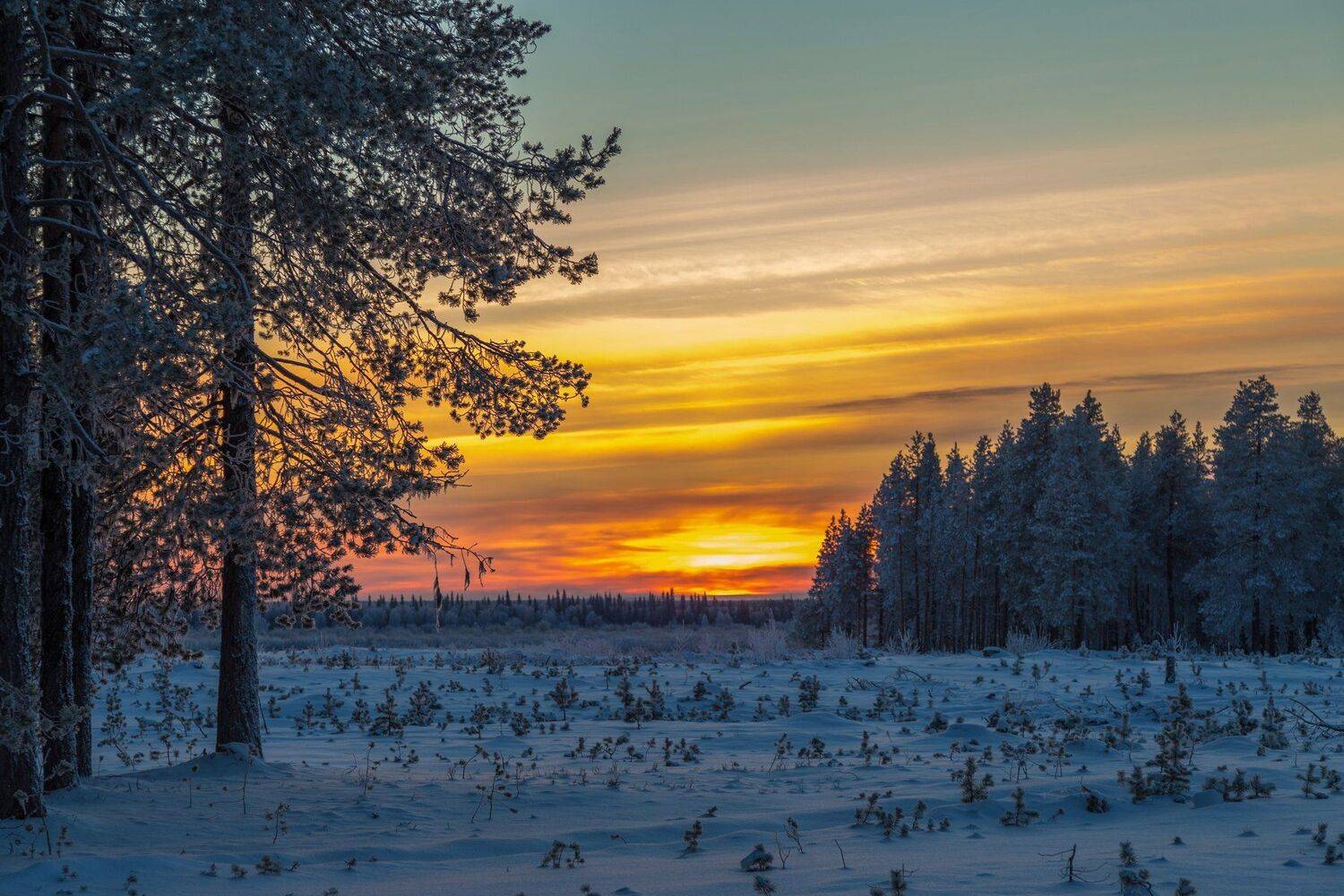 печора,закат,, Анатолий