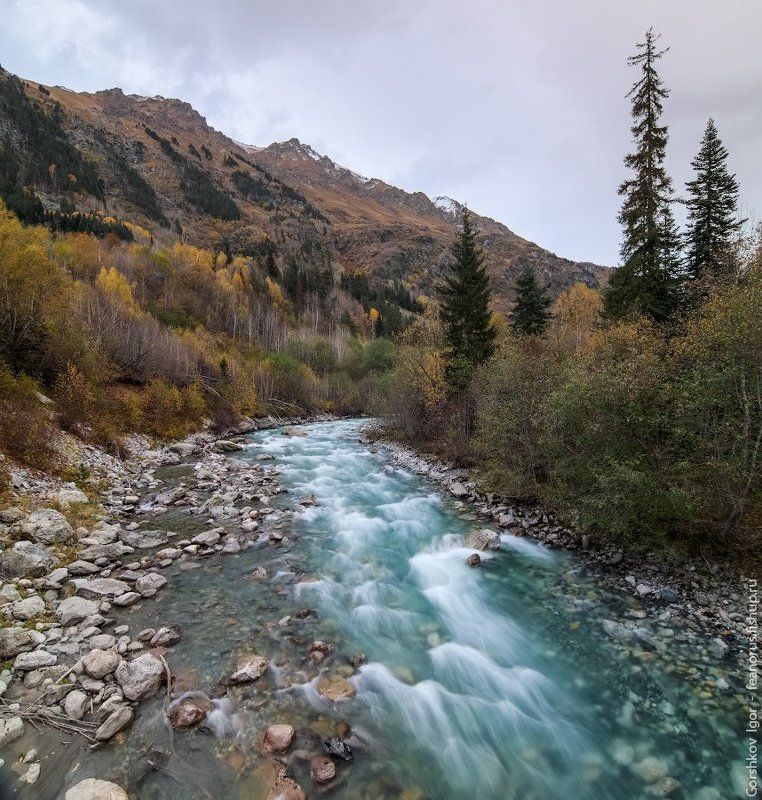 бирюзовый, вода, гоначхир, горная река, кавказ, камни, осень, пейзаж, пороги, природа, река, скалы Бирюзовая вода Гоначхира фото превью