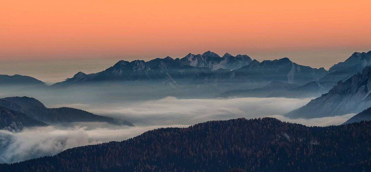 , Игорь Дубровский