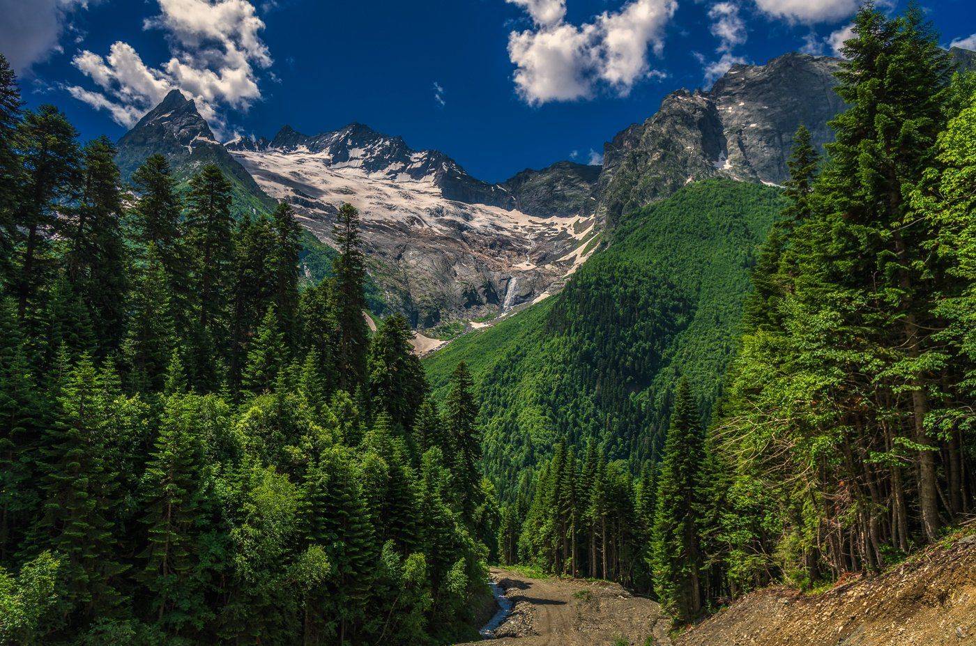 , Игорь Мелекесцев