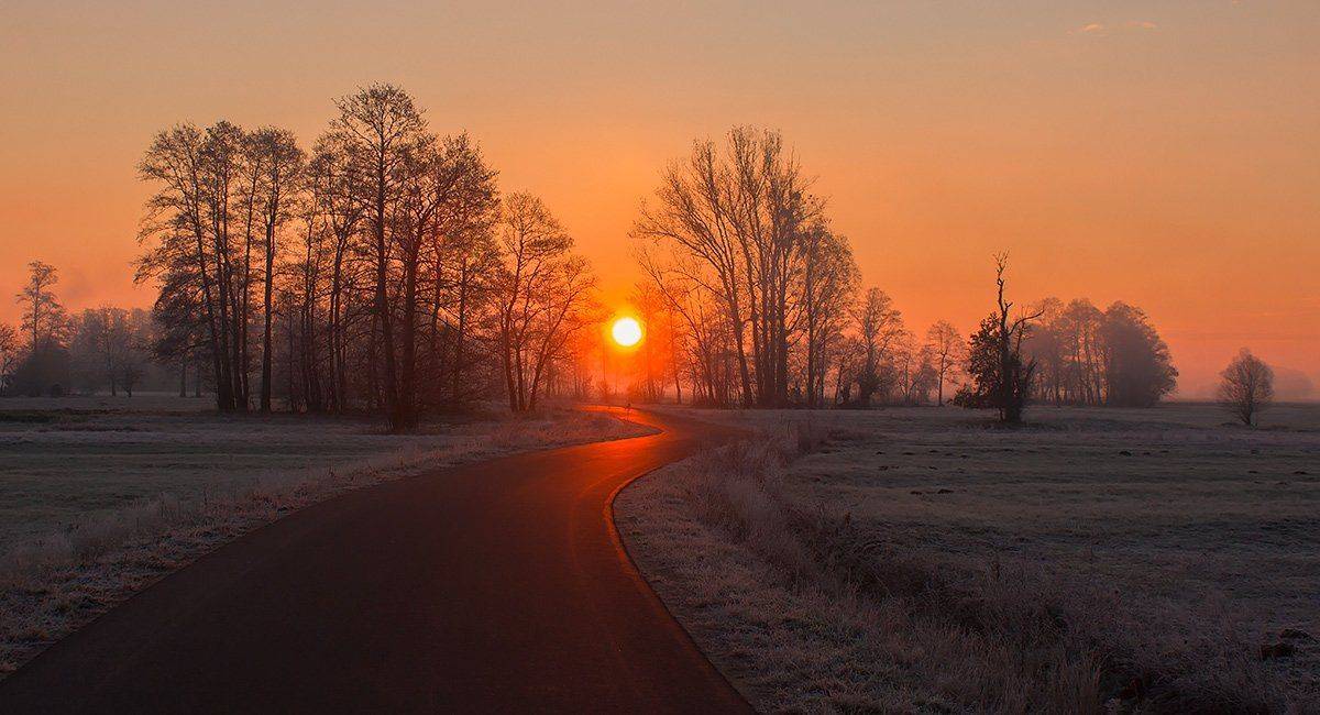 , Pawel Plucinski