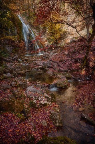 Осенняя краса