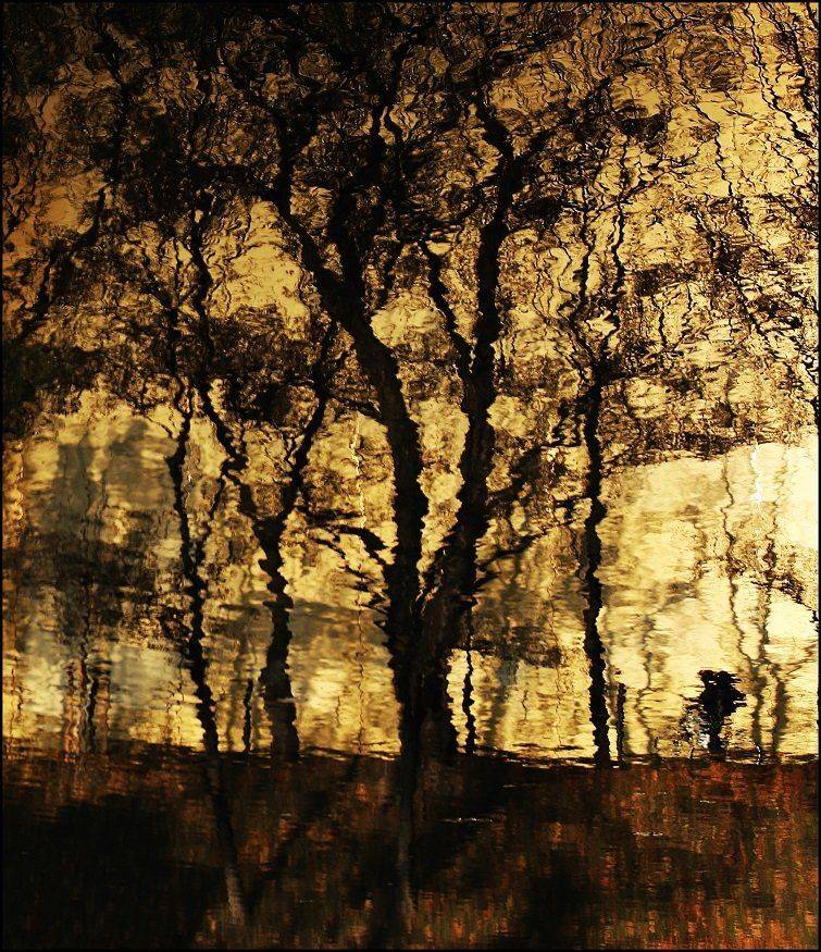 , Krzysztof Trojanowski