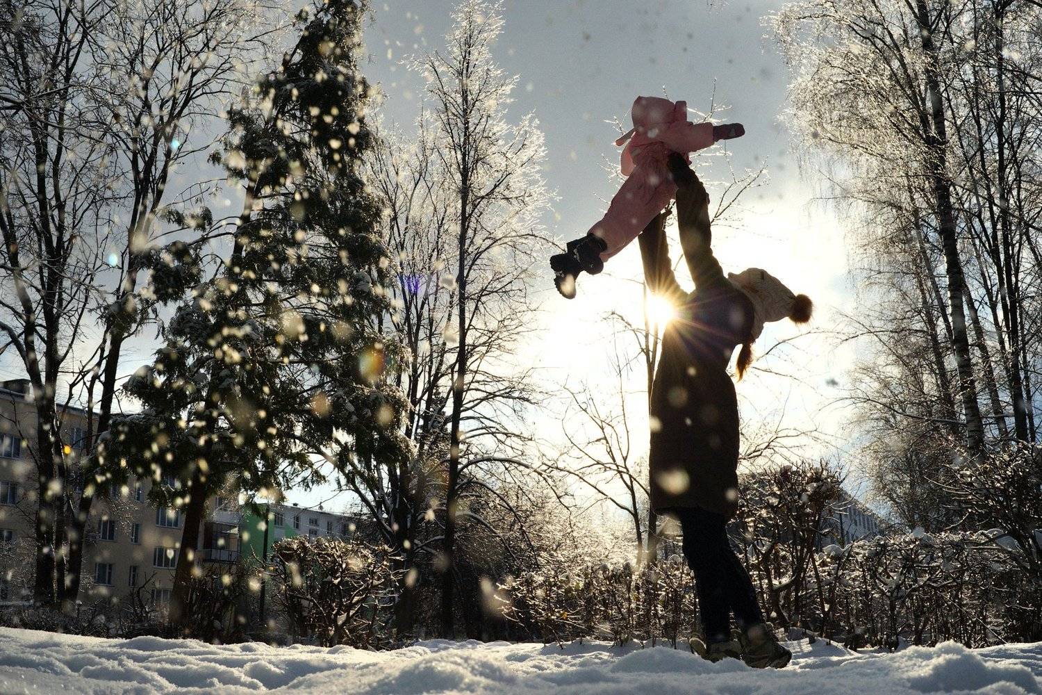 , Кокорев Илья