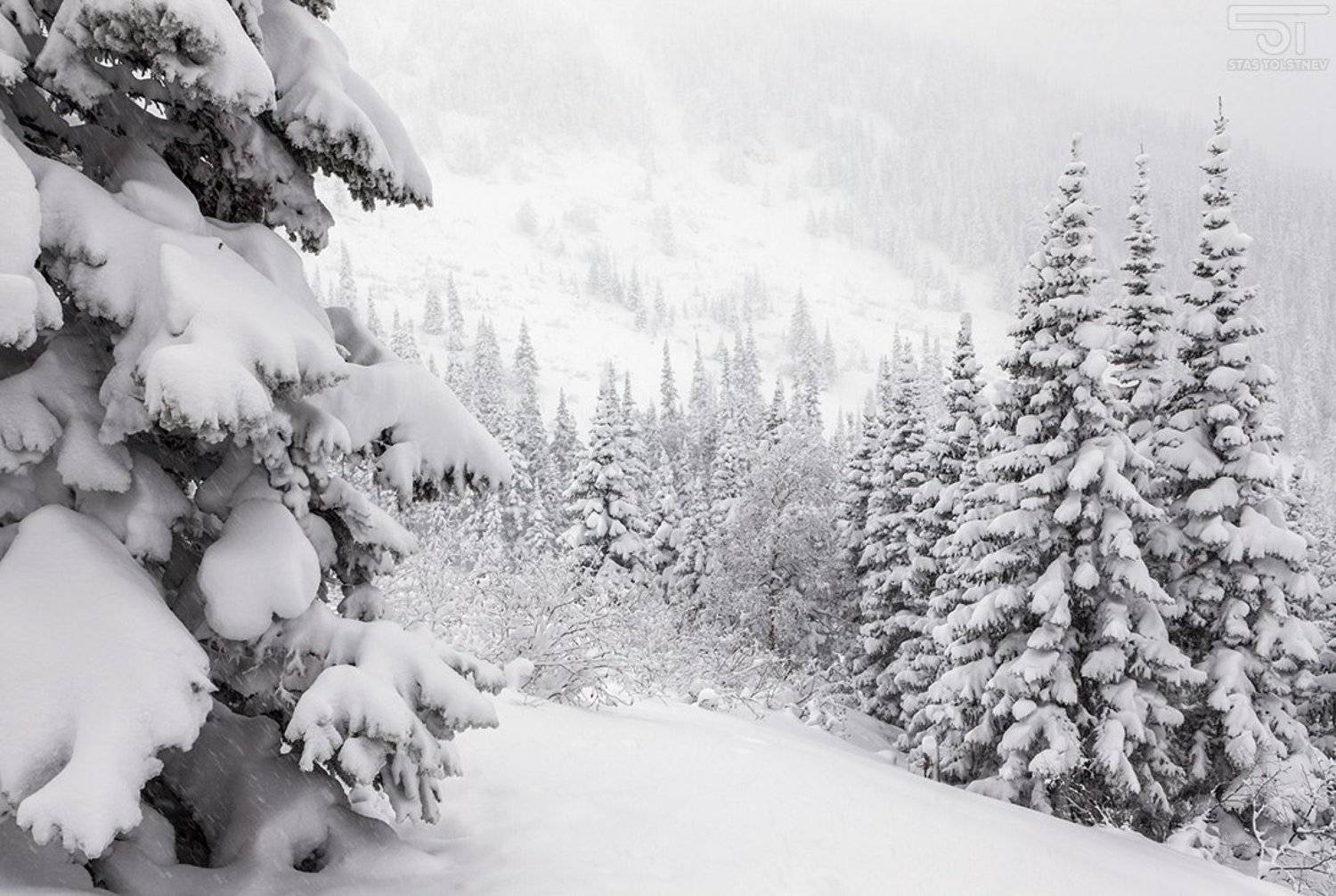 , Станислав Толстнев