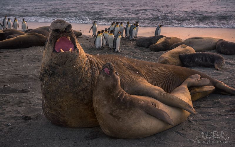 O sole, o sole mio!