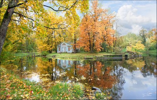 Осенние мотивы