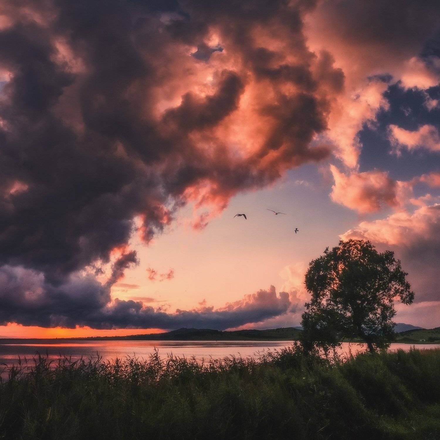 , Андрей Кровлин