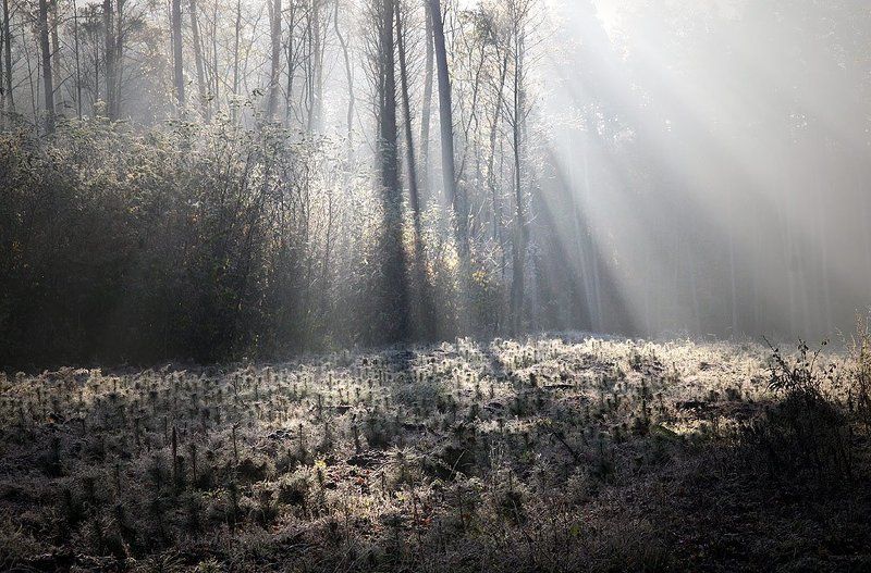... фото превью