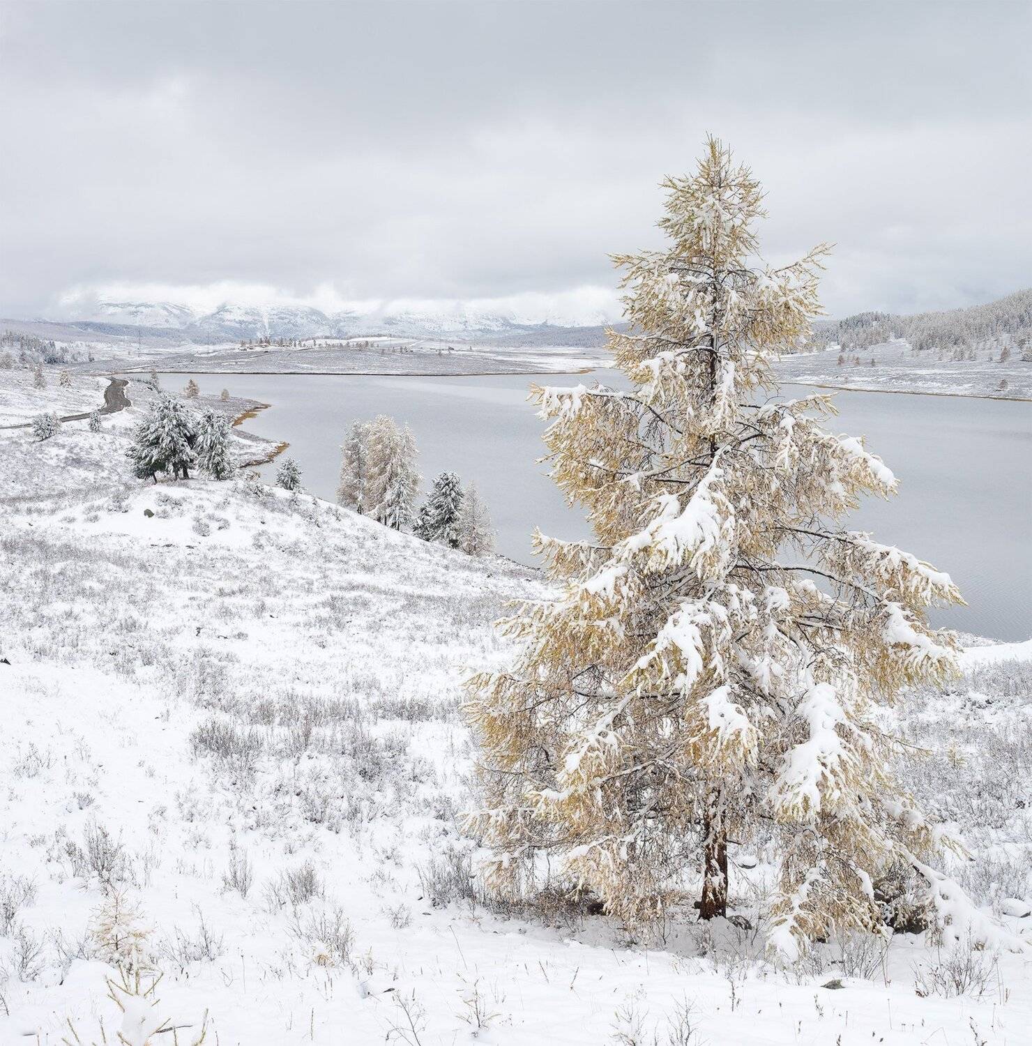 , Лещёнок Александр