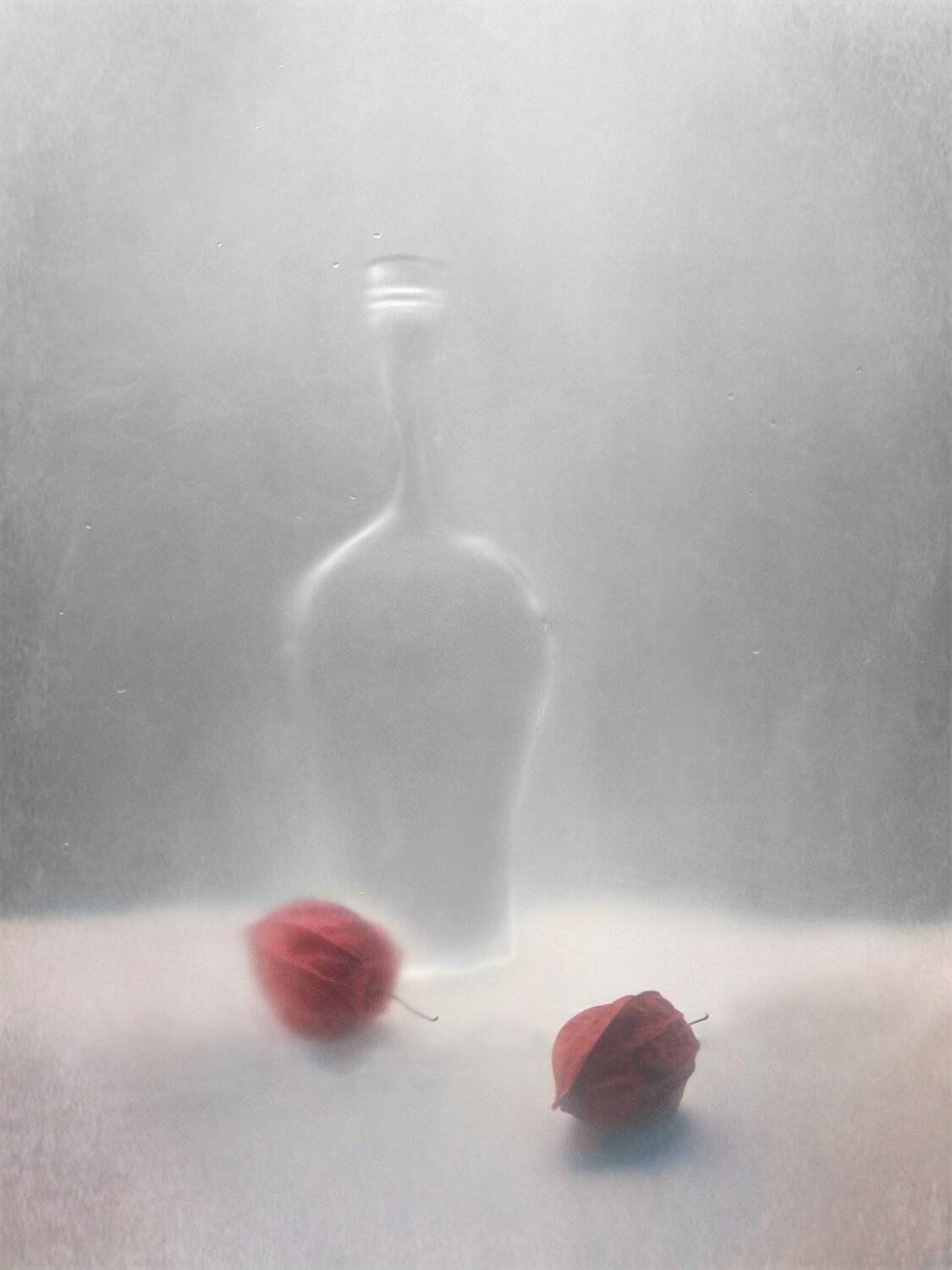 физалис, бутылка, натюрморт, Елена