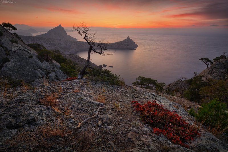 пейзаж Рассвет на Караул-Оба фото превью