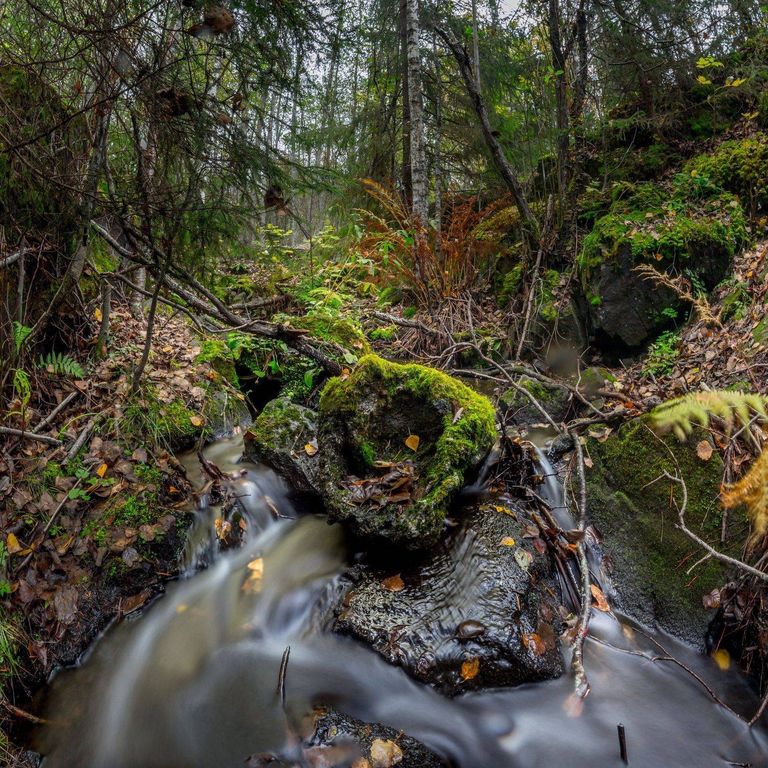 природа, карелия, осень, вода, рука, длинная выдержка, листья, Михаил Проскалов