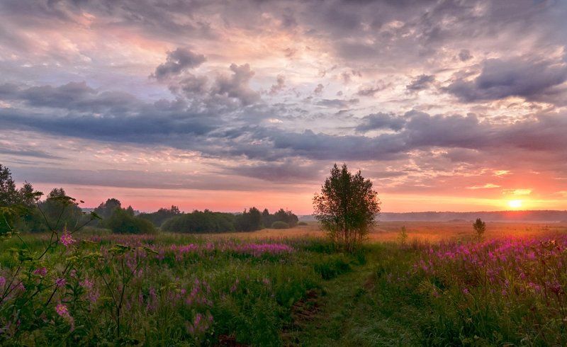 Утро в Сельце фото превью