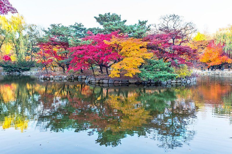 Colorful фото превью