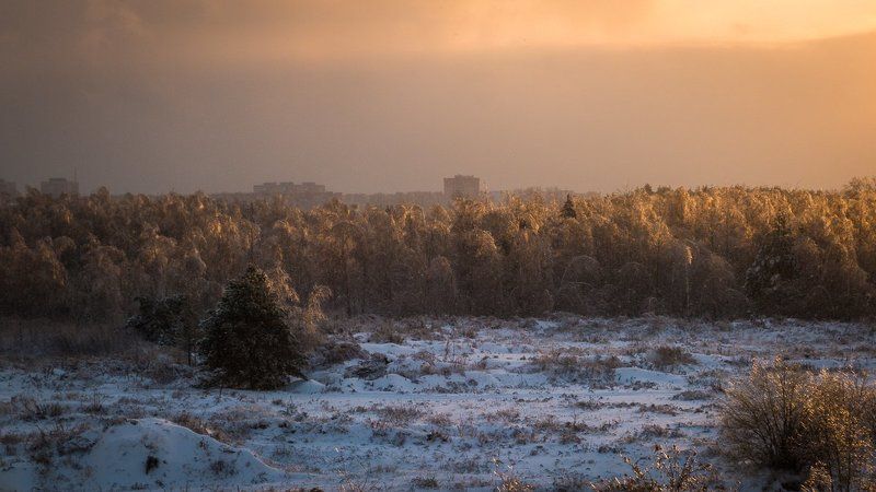 Lumix, Зима, Природа, Снег, Солнце, Фото Дубна Луч солнца золотого. фото превью