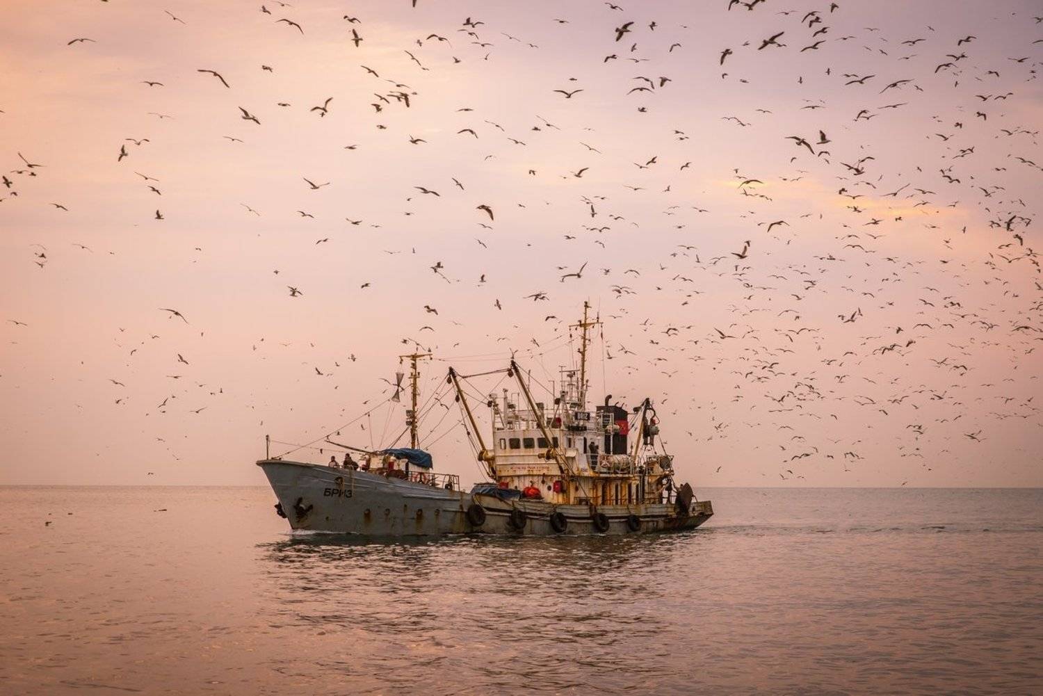 , Алексей Яковлев