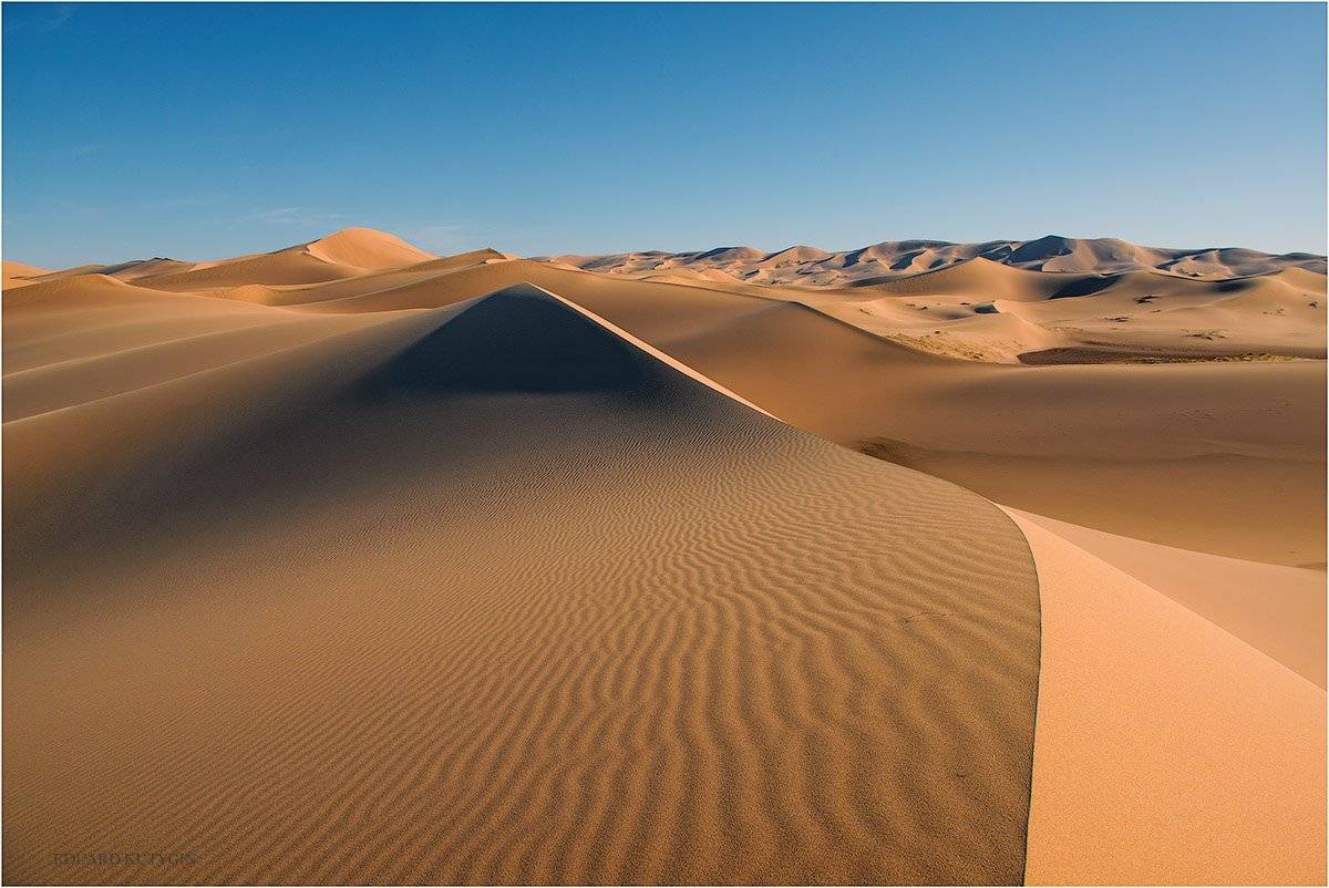 , Кутыгин Эдуард