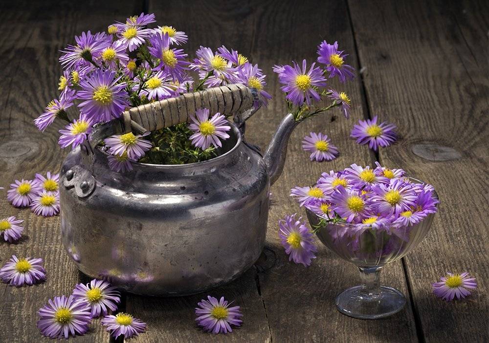 , Наталья Бочкарева