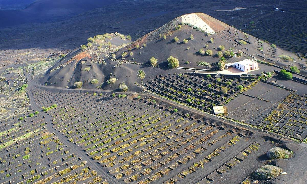 Канарские острова, Лансароте, виноградники, Сезар Манрике, аэро, Cesar Manrique, aerial, Борис Резванцев
