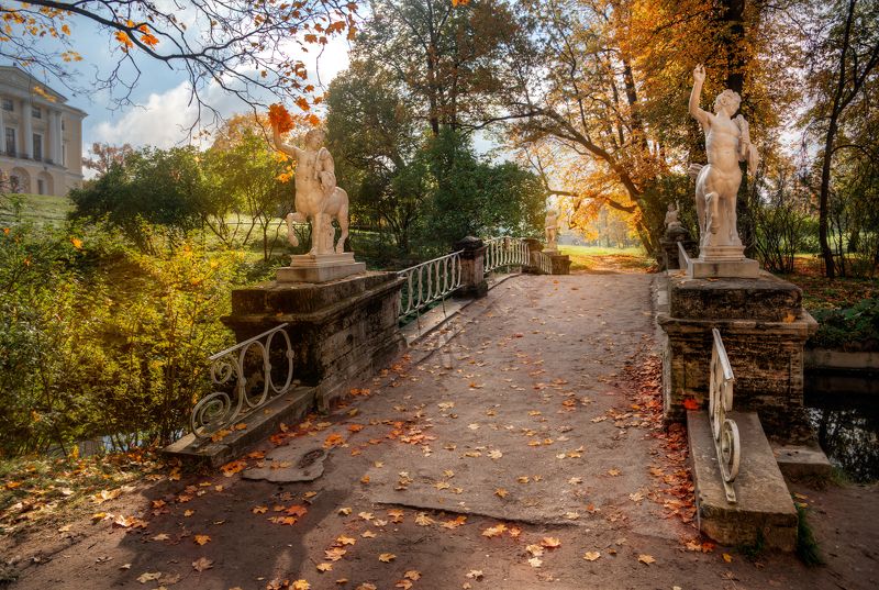 осень в Павловске фото превью