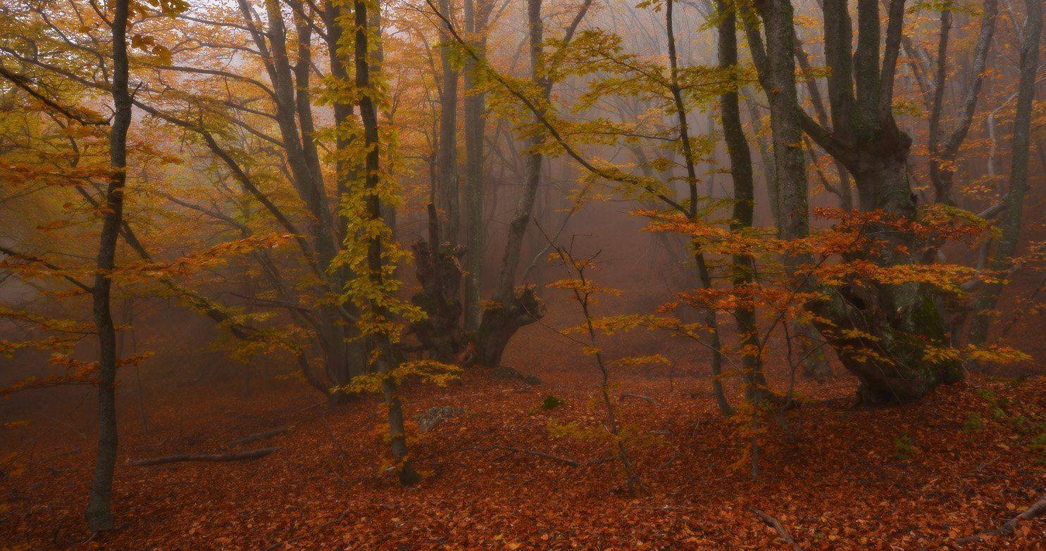 , Сергей Седов