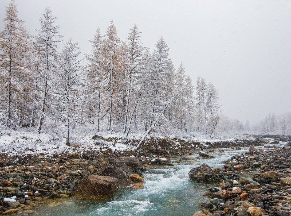 , Владимир Липецких