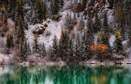 Осеннее утро