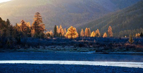 Pro алмазное  утро в золотой долине