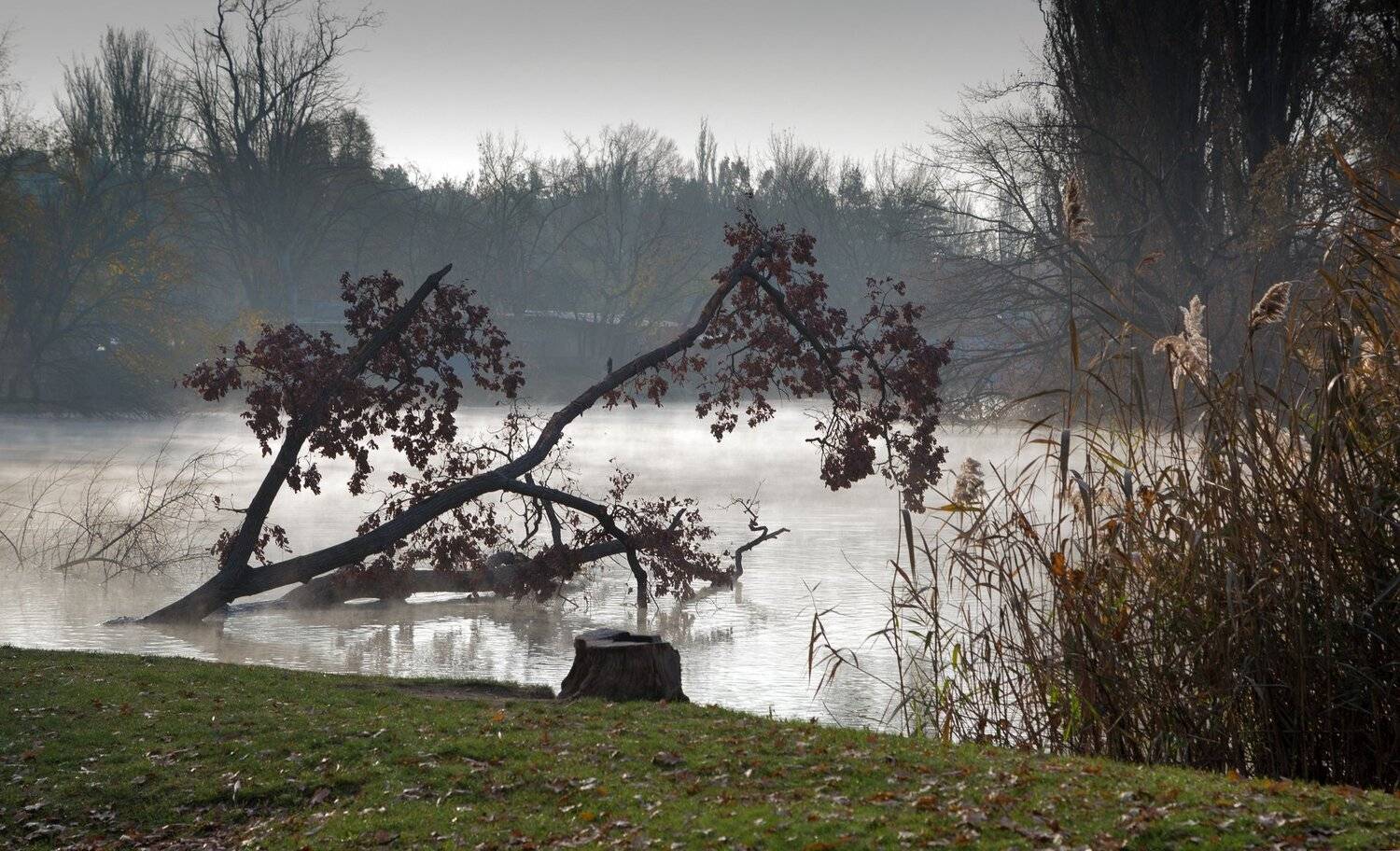 , Алексей Рыльский