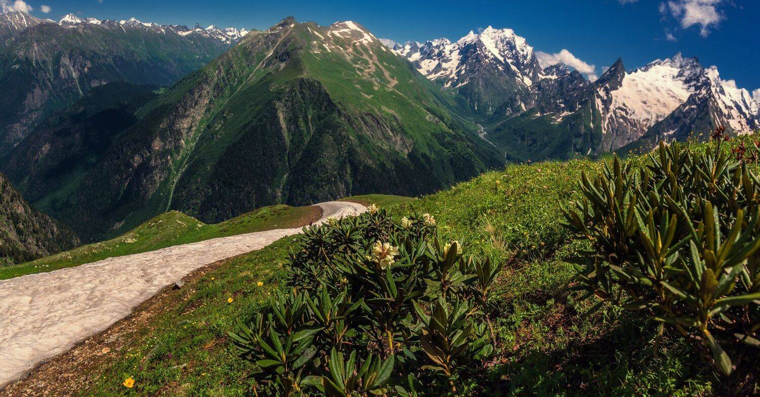 , Игорь Мелекесцев