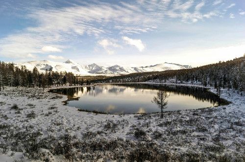 Еще раз про Киделю...