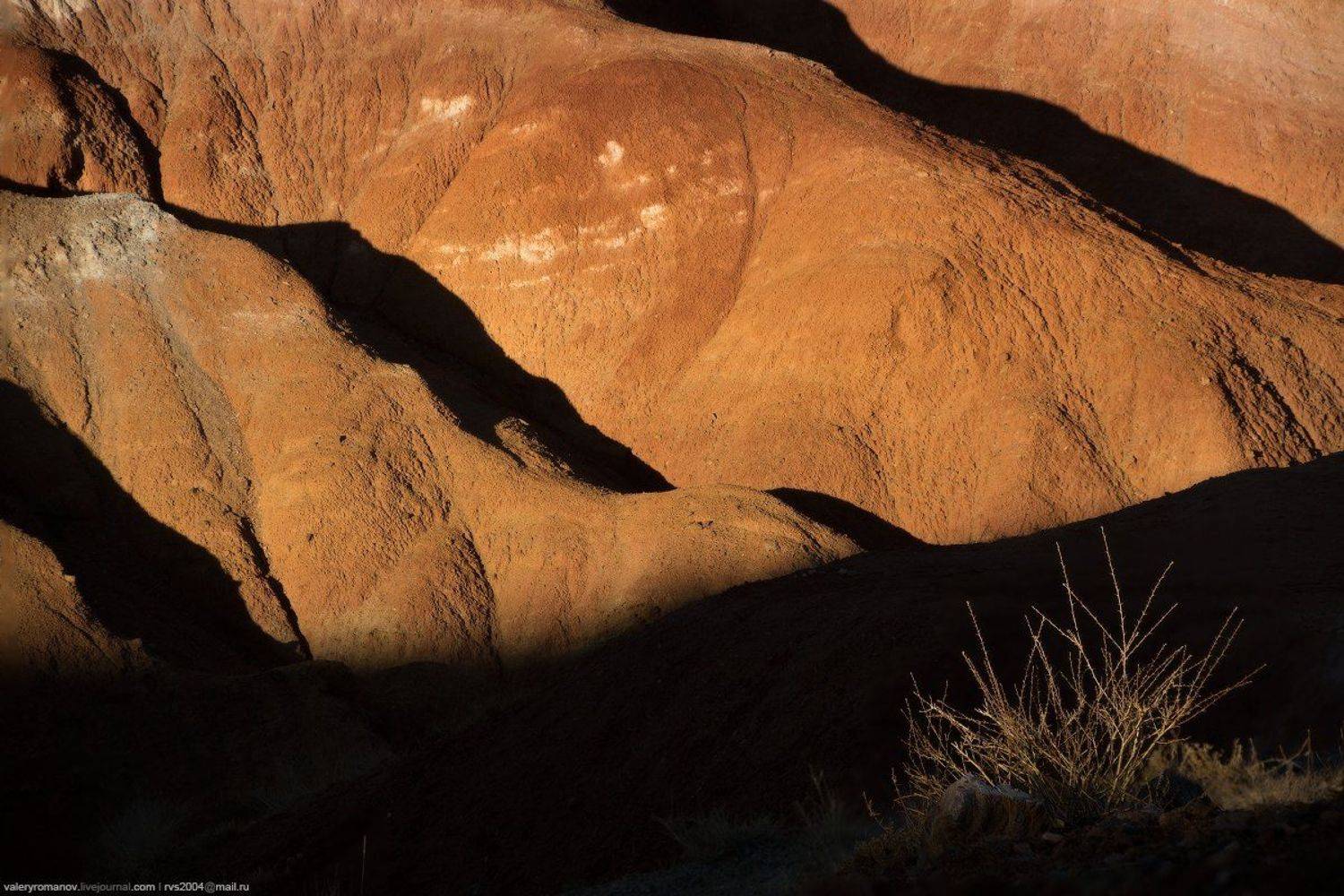 Долина, ручей, Кызыл-Чин, Алтай, россия, рыжий, песок, пустыня, куст, саксаул, засуха, тень, черный, жизнь, смерть,, Валерий Романов
