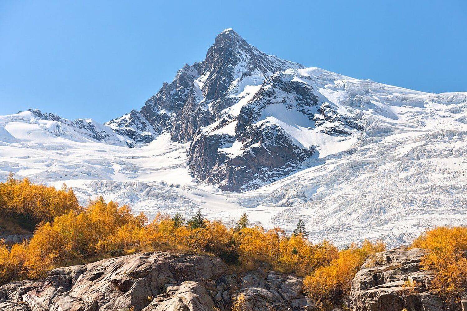 , Михаил Туркеев